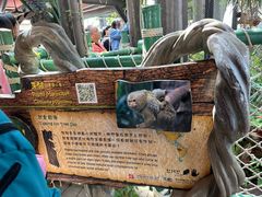 -香港海洋公园