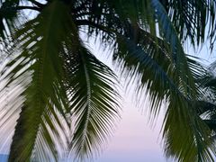 -日落吧·海景咖啡厅·餐酒吧·鸡尾酒·下午茶·乐队表演·浪漫夕阳·三亚文华东方酒店
