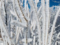 -中旅松花湖滑雪场