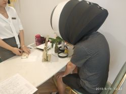 -繁星轻医美连锁