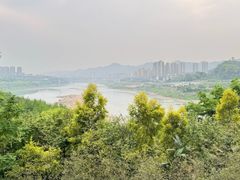 -金海湾滨江公园