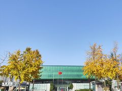 -金陵图书馆