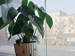 -陕拾叁-西安糕点(北院门创始店)