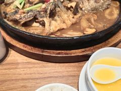 -老板恋上鱼(恒隆广场店)