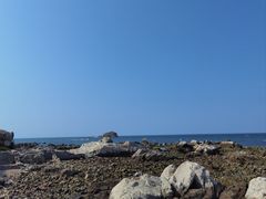 -养马岛旅游度假区