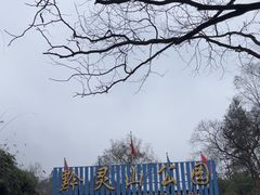 -黔灵山公园
