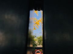 -北京国子监胡同