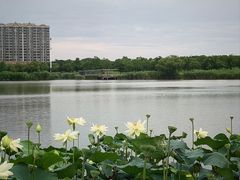 -嘉北郊野公园