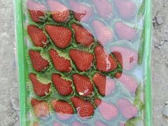 -嘿嘛仓储购(华明店)