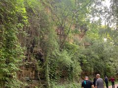 -黄龙山原始森林景区