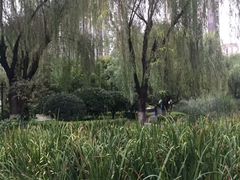 -木塔寺遗址生态公园
