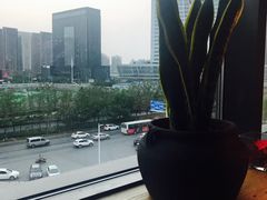 -瓦库茶馆17号(海汇港店)