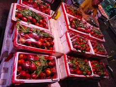 -菜园坝水果市场