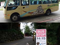 -宫城藏王狐狸村