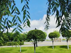 -哈尔滨音乐公园