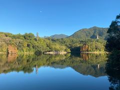 -深圳仙湖植物园