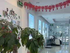 -北京观赏动物医院·24小时大型综合·猫专科·异宠专科