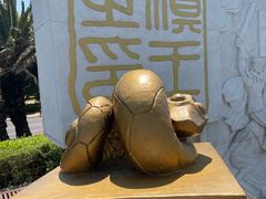 -海埂大坝