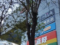 -新荟城(望京店)