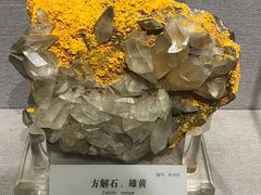 -湖南省地质博物馆