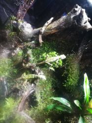 点击看大图 -酷嗒动物文化乐园(cutezoo西溪乐天城店)