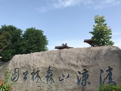 -清凉山国家森林公园