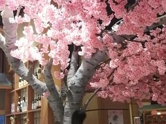 -大江户·温泉洗浴(浑南店)