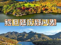 -野鸭湖国家湿地公园