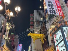 -道顿堀