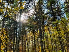 -帽儿山国家森林公园