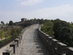 -黄贤森林公园