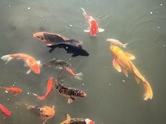 -陶祖圣境风景区