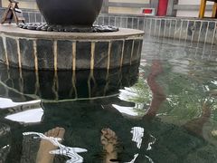 -观唐（国际）度假村温泉