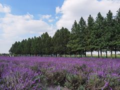 -嘉北郊野公园