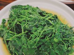 酒香草头-建国328 本帮小馆·面馆
