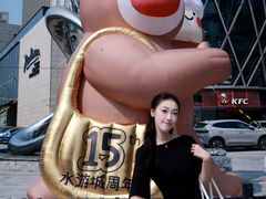 -鹏欣水游城