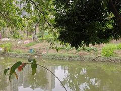 -绿雅居原生态农庄(小涌店)