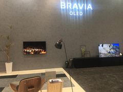 -Sony Store索尼(广州正佳店)