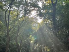-北极阁公园