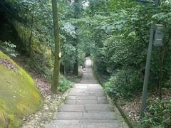 -缙云山景区