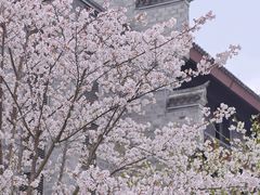 -台州府城(江南长城)