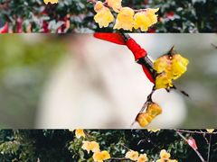 -宝通禅寺