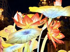 -厦门园林博览苑