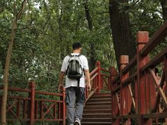 -紫金山山顶公园
