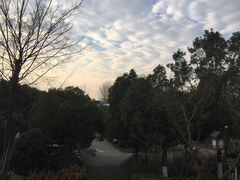-旺福楼(钱家坞总店)