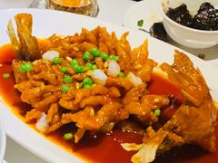 松鼠桂鱼-玫瑰厅上海菜(兴国路店)
