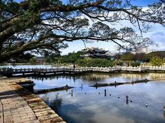 -江心屿景区