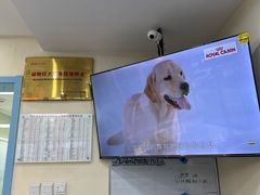 -全心全意连锁动物医院·微创中心·内科急重症·心脏专科(丰管路店)