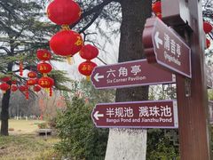 -习家池