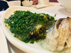 烧椒鲈鱼-尘香•传统川菜(创汇首座店)